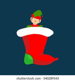 Christmas stocking and Santa Elf. Little Claus helper. traditional Holiday Xmas sock for gifts