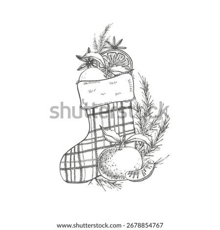 Christmas stocking with slice of mandarin, spruce brunch, star anise. Plaid sock with sweets. Graphic cozy illustration for New Year card, decoration, sticker, packaging, textile. Vector sketch.