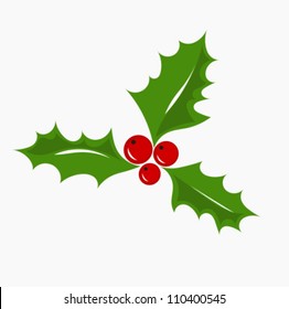 Christmas symbol holly berry, vector illustration.