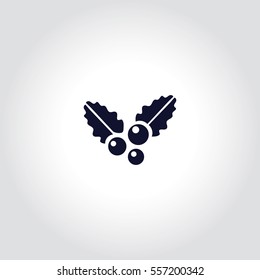 Christmas symbol Vector Icon.