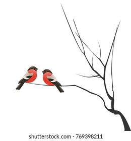 Christmas template with Two bullfinches sitting on branch isolated on white background