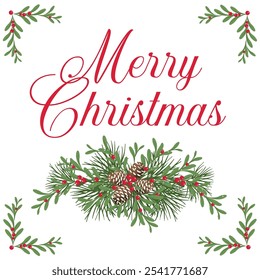  Christmas Text Isolated, Mistletoe Leaves, Berry and Pine cone, Merry Christmas Text-Christmas Vector Illustration