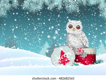 Christmas theme, cute white owl sitting on red gift box in winter snowy landscape, vector illustration, eps 10 with transparency