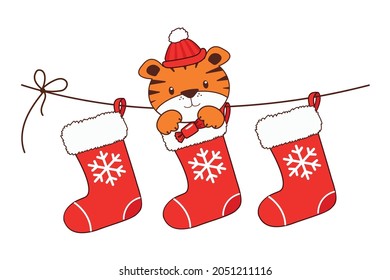 Tigre de Navidad en un arranque. Juego vectorial de calcetines de Navidad de dibujos animados.