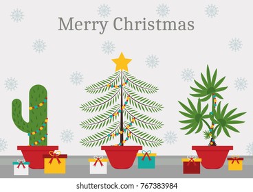 In a christmas time every plant is a christmas tree - a cactus, spruce and a palm tree with christmas decorations and lights