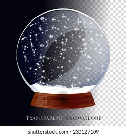 Christmas Transparent Snowglobe