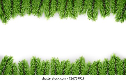 Christmas tree. Background of isoalted fir tree branches. Winter seasonal background.