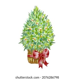 Christmas tree in basket decorated with lights hand painted in watercolor isolated on white background
