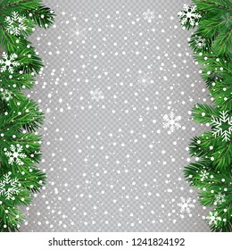 Christmas tree with beautiful lights. Branch isolated. Vector illustration on beautiful background.