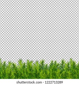 Christmas Tree Border Transparent Background With Gradient Mesh, Vector Illustration
