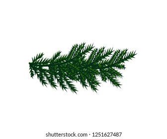 Christmas tree branch
