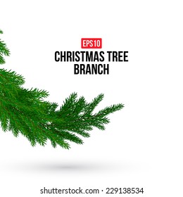 Christmas tree branch