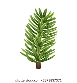 Christmas tree branch 3D. Green pine, evergreen plant. Winter holiday element for decoration, design of banner, card, poster. Isolated Christmas tree branch on white. Vector illustration.