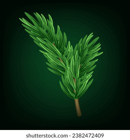 Christmas tree branch 3D. Green pine, evergreen plant. Winter holiday element for decoration, design of banner, card, poster. Isolated Christmas tree branch. Vector illustration.