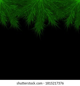 Christmas tree branch. Christmas background. New Year card. Vector illustration.
