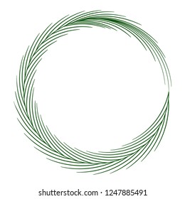 Christmas tree branch in a circle on a white background.