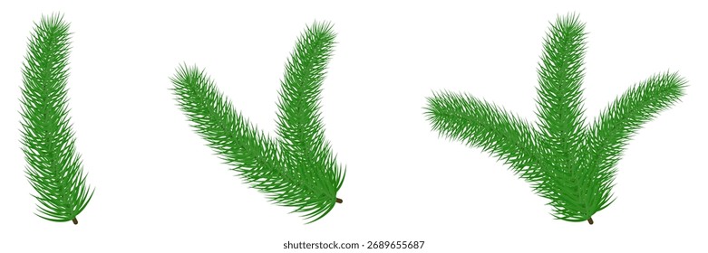 Colección de rama de árbol de Navidad. Conjunto de Elementos de pino. Ilustración vectorial aislada en blanco.