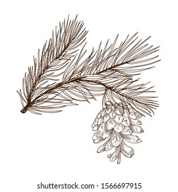 Christmas tree branch with a cone. Vector black and white linear graphics.