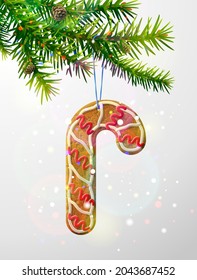 Christmas Tree Branch With Decorative Candy Cane Cookie. Gingerbread Christmas Candy Stick Hanging On Pine Twig