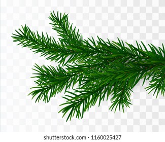 Christmas Tree Branch. Fir Branch Isolated. Vector Illustration