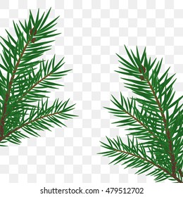 Christmas tree branch, fir-tree branch