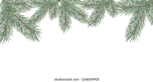 Christmas tree branch. Frame for New Year greeting cards and web sites. Vector illustration.