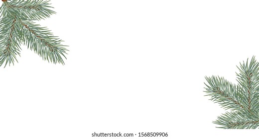 Christmas tree branch. Frame for New Year greeting cards and web sites. Vector illustration.