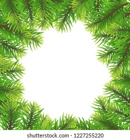 Christmas tree branch frame on white blank background. Concept design for template of greeting card,banner, poster, postcard for Christmas and new year festival in vector illustration