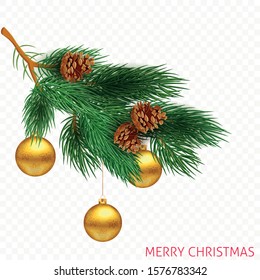 Christmas tree branch with golden balls. Vector illustration.