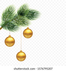 Christmas tree branch with golden balls. Vector illustration. Isolated image. New Year.