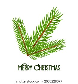 Icono de rama de árbol de Navidad en fondo blanco. Ilustración del vector
