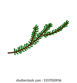 Christmas tree branch isolated on a white background. Cute decorative green twig in Scandinavian style. Festive decoration element for Christmas and New Year. Minimalistic symbol of the winter holiday