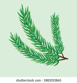 Christmas tree branch for the new year in green