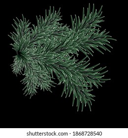Christmas tree branch on a dark background
