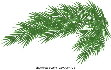 Weihnachtsbaumzweig auf weißem Hintergrund.Neujahrsgrafik