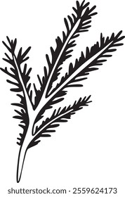 Christmas tree branch, pine, cedar branch. Christmas outline vector illustration Winter holidays Merry Christmas and New Year line art Minimalistic hand drawn cute style