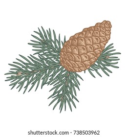 Christmas tree branch with pine cone. Traditional Christmas decoration symbol for greeting card, poster, textile, banner, website.