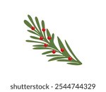 Christmas Tree branch with red berries. Winter seasonal coniferous sprig. Christmas holiday vector element. Flat style isolated illustration.