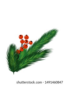 Christmas tree branch red berry. Holiday Christmas background. Winter retro textile design. Vector floral watercolor painting. Modern decorative invitation on white backdrop.