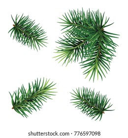 Christmas tree branch set. Hand painted Christmas fir branch  isolated on white background. Botanical illustration. Holiday print for design.Close-up. New Year. Vector Illustration .Eps 10.