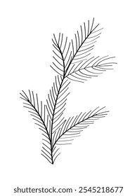 Christmas tree branch sketch doodle. Vector illustration of isolate on white.