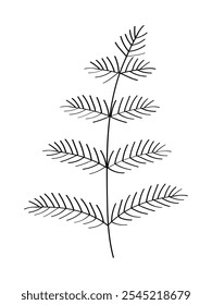 Christmas tree branch sketch doodle. Vector illustration of isolate on white.
