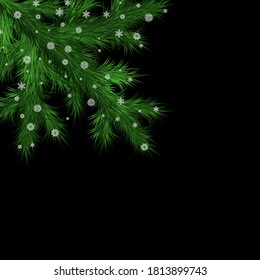 Christmas tree branch with snowflakes. Christmas background. New Year card. Vector illustration.