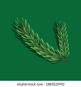 Christmas tree branch vector design