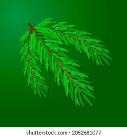 Christmas tree branch, vector graphics
