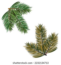 Christmas Tree Branch Vector Illustration, Christmas Pine Fir Spruce Tree Branch, Christmas Elements