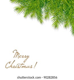 Christmas Tree Branch, Vector Illustration