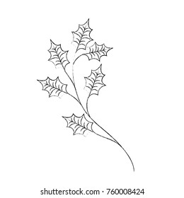 christmas tree branche spruce fir nature decoration