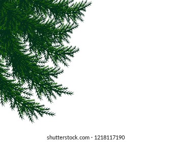 Christmas tree branches