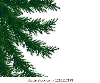 Christmas tree branches